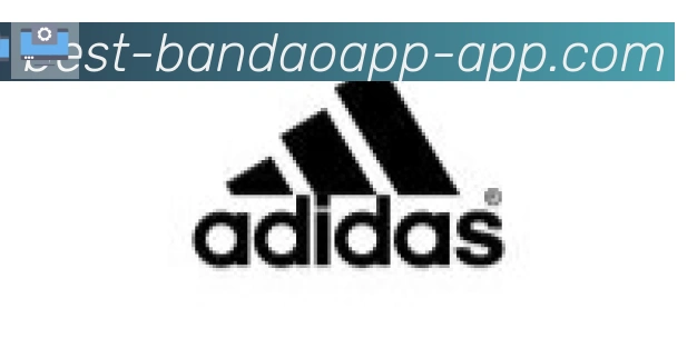 半岛体育app合作伙伴